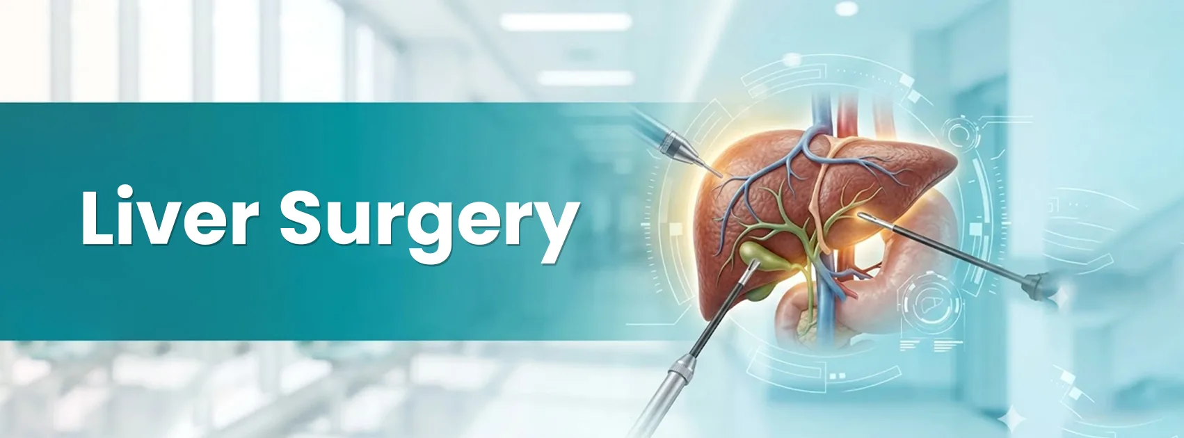 Liver Surgery